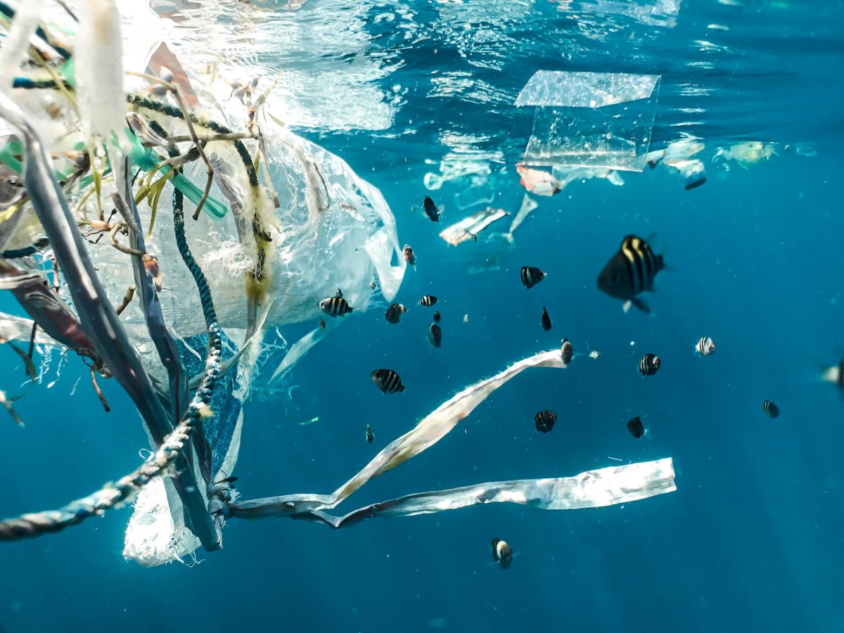 Пластмаса в океаните – кой я носи?